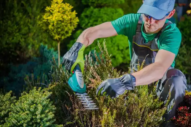 landscaping services Levittown